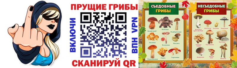 Галлюциногенные грибы Magic Shrooms  Выборг 