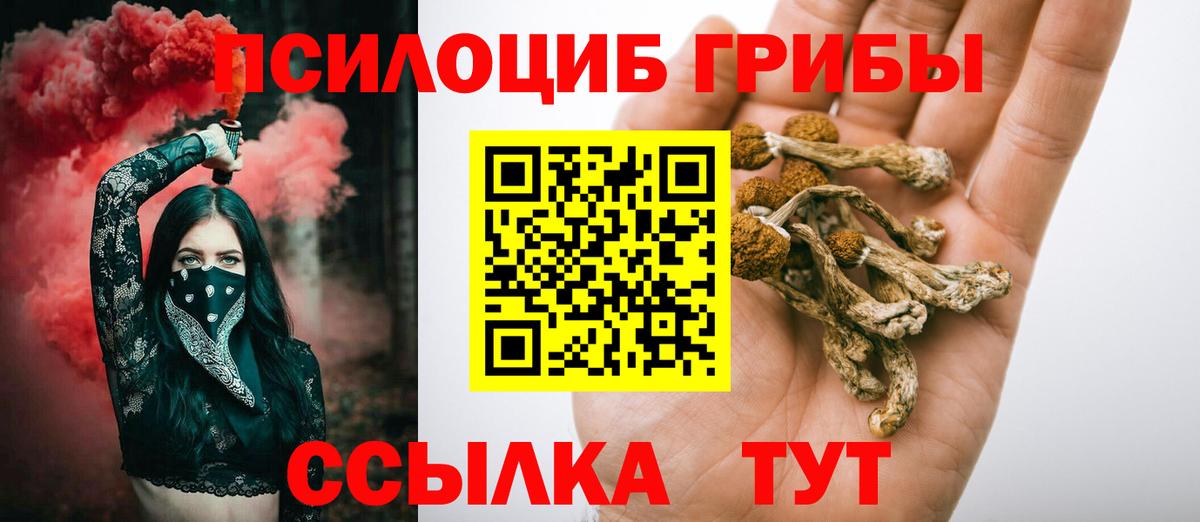 Галлюциногенные грибы Psilocybine cubensis  Вход с VPN  Галлюциногенные грибы мухоморы  Выборг 
